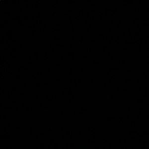 Meet your Posher, Carla